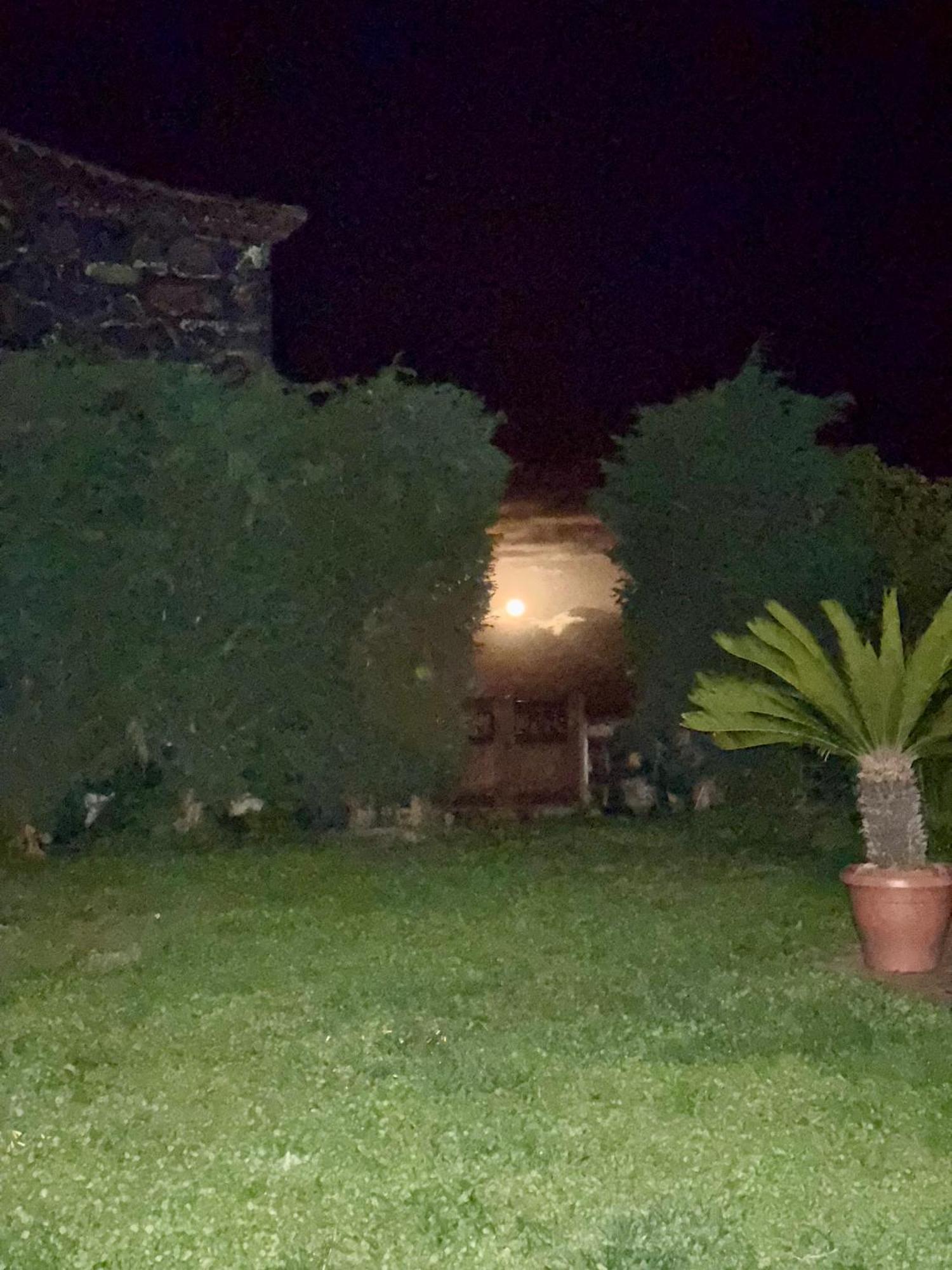 Casa Rural Quinta Los Naranjos Tigalate Exterior photo