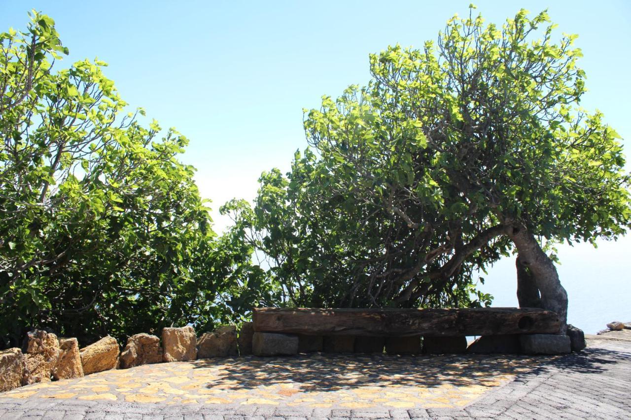 Casa Rural Quinta Los Naranjos Tigalate Exterior photo