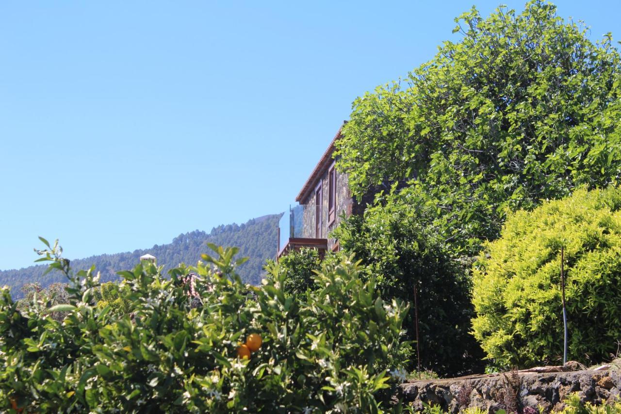Casa Rural Quinta Los Naranjos Tigalate Exterior photo